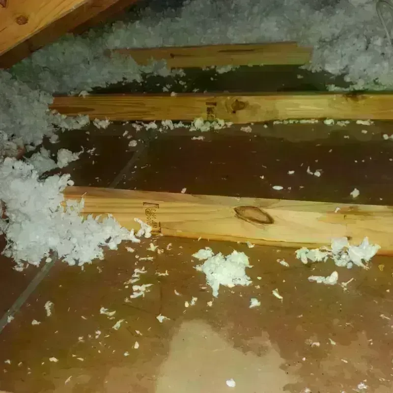 Attic Water Damage in Woodbine, GA