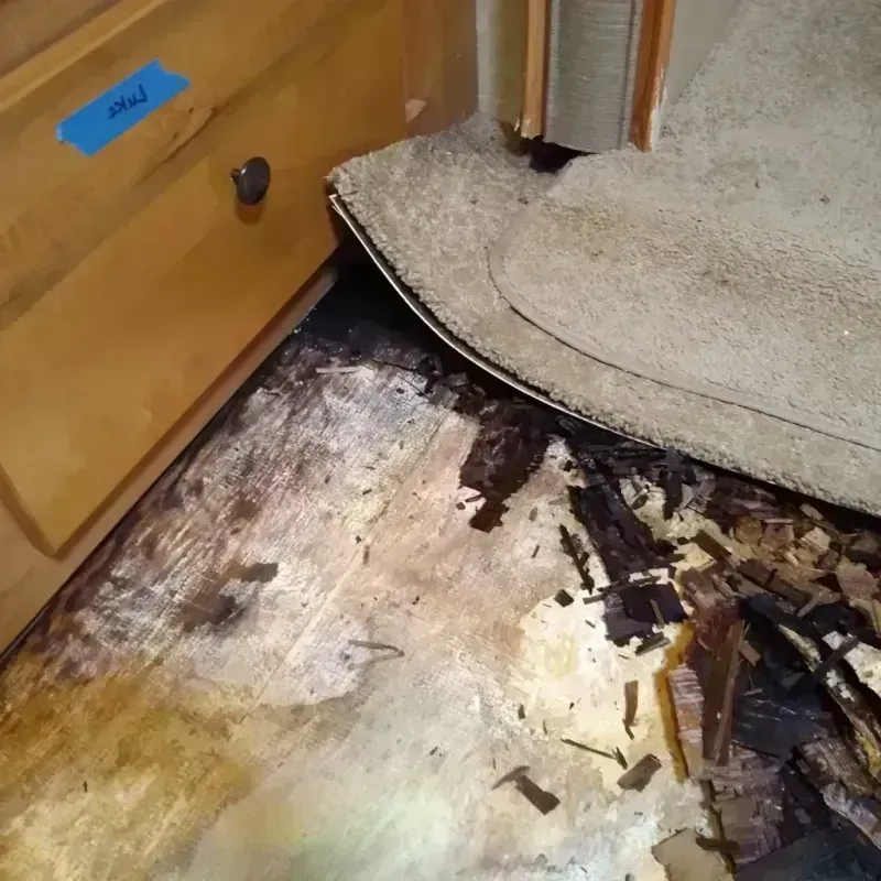 Wood Floor Water Damage in Woodbine, GA